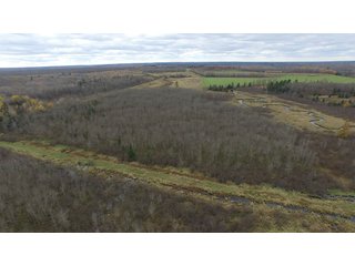 Property photo 4 - REAL ESTATE AUCTION - 1,428+/- ACRES OFFERED IN 10 TRACTS IN PRICE CO., WI